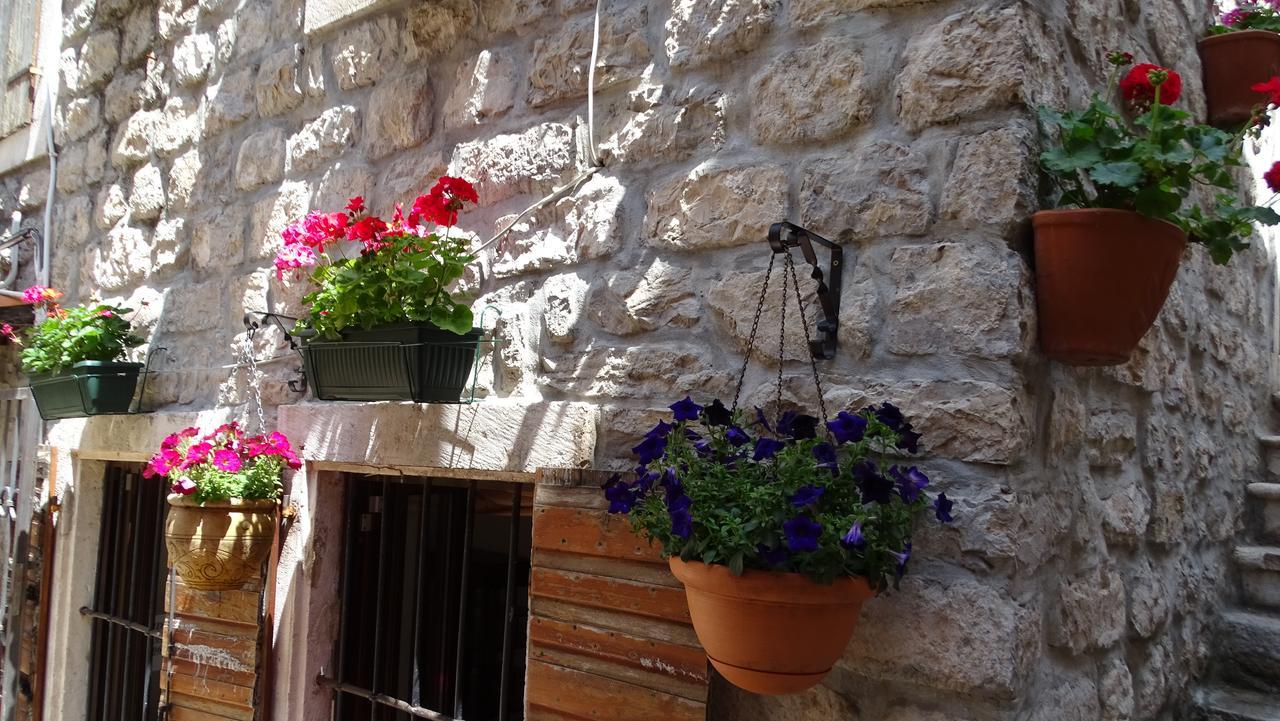 Apartments Renaissance Old Town Μπούντβα Εξωτερικό φωτογραφία